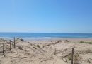 La plage naturiste de la Lède : un havre de liberté, de nature et de douceur familiale